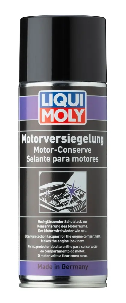 BRILLO EXTERIOR MOTOR