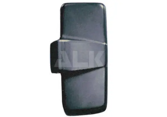 CC R REN MAGNUM AE (L11) MN