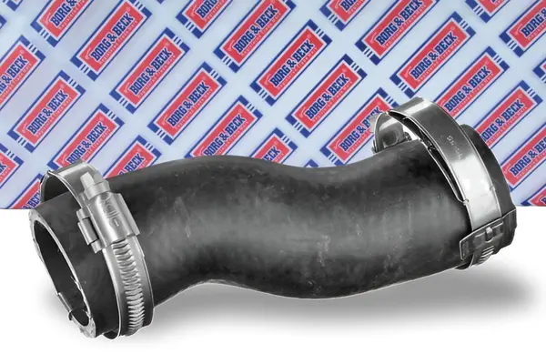 MANGUITO TURBO