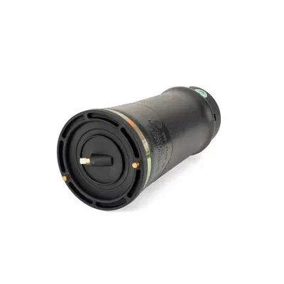 ARNOTT REAR AIR SPRING - 98-04 LAND