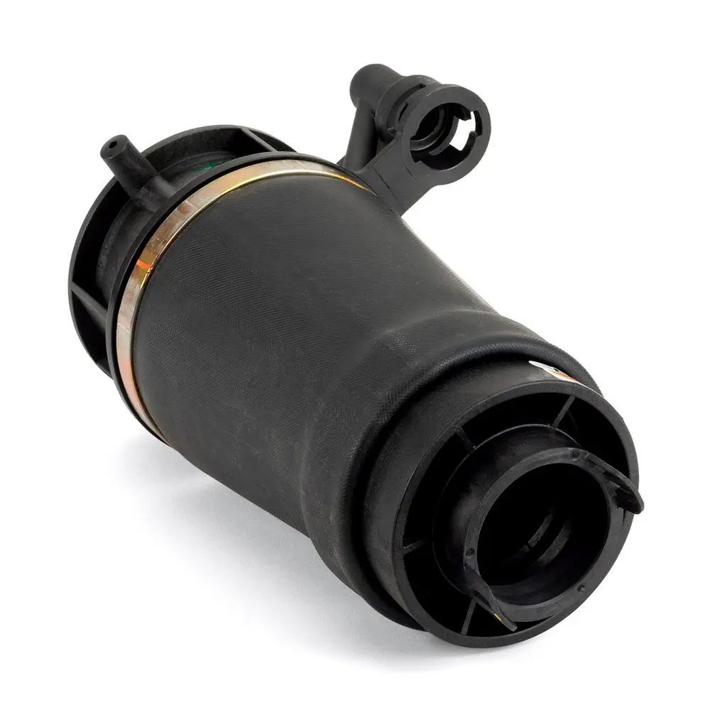 ARNOTT REAR AIR SPRING - 03-06 LINC