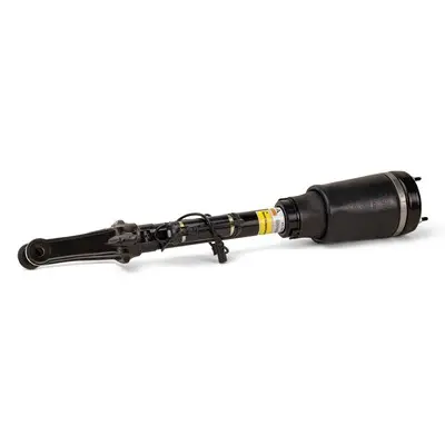 ARNOTT NEW FR LT/RT AIR STRUT - 06-