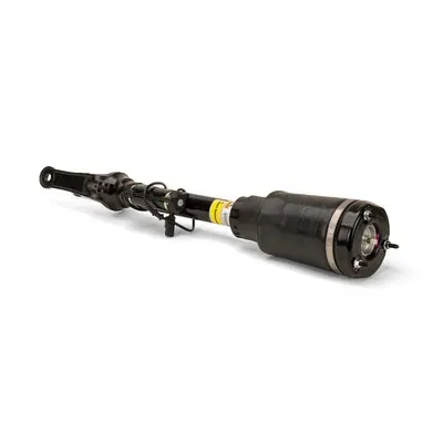 ARNOTT NEW FR LT/RT AIR STRUT - 06-