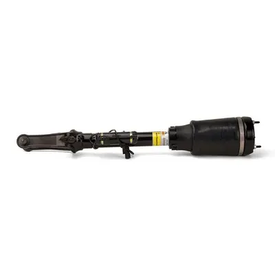 ARNOTT NEW FR LT/RT AIR STRUT - 06-