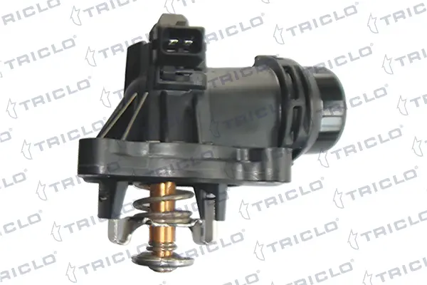 TAPA TERMOSTATO BMW S.1 Y S.3