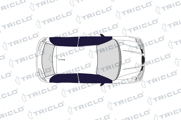 RESBALON PUERTA FIESTA 2002