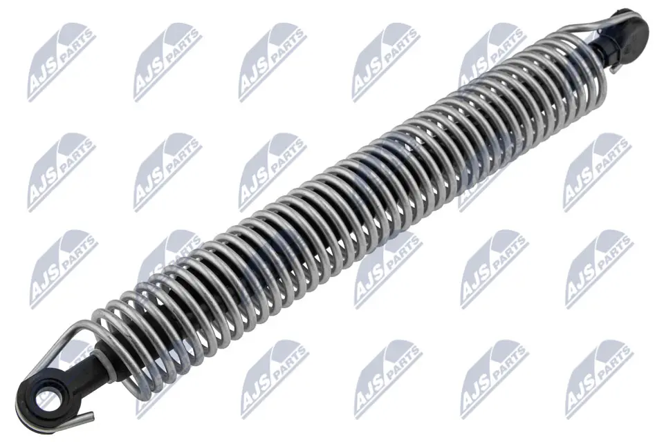 NTY MUELLE NEUMÁTICO, MALETERO / CO