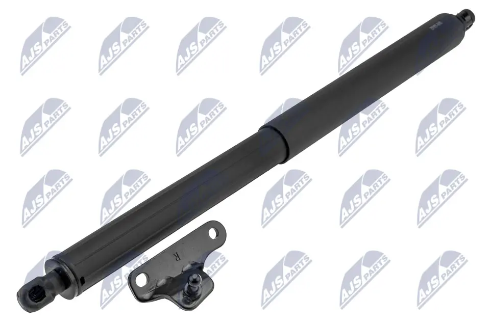 NTY MUELLE NEUMÁTICO, MALETERO / CO